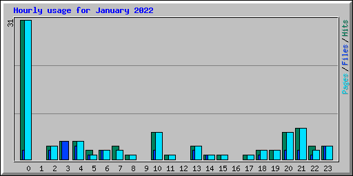 Hourly usage for January 2022