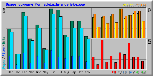 Usage summary for admin.brandejsky.com