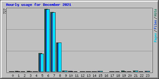 Hourly usage for December 2021