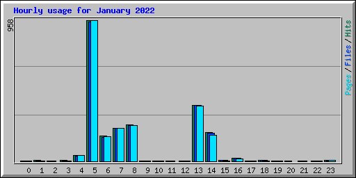Hourly usage for January 2022