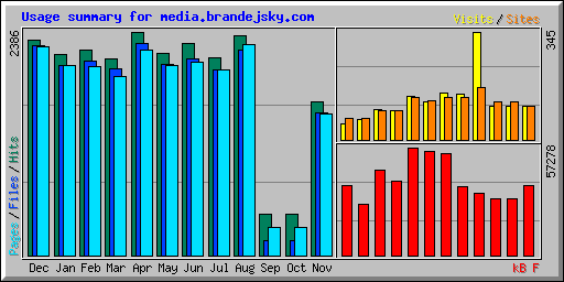 Usage summary for media.brandejsky.com