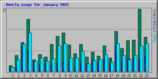 Hourly usage for January 2022