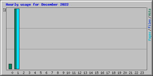 Hourly usage for December 2022